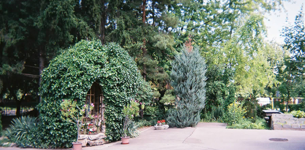 9. kép